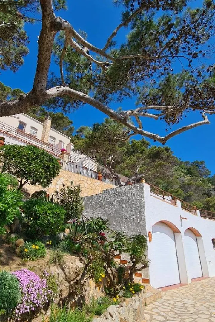 Villa Transatlantique En Premiere Ligne De Mer Dite Villa Esmeralda Llafranc