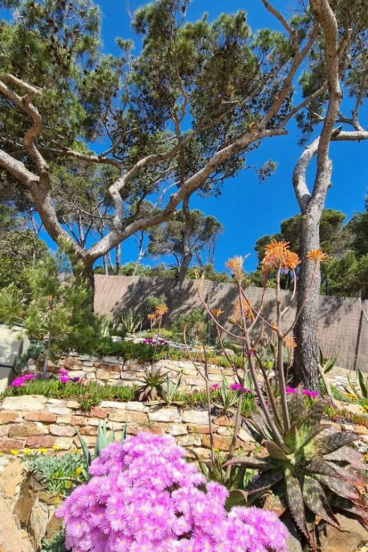 Villa Transatlantique en première ligne de mer dite Villa Esmeralda Llafranc
